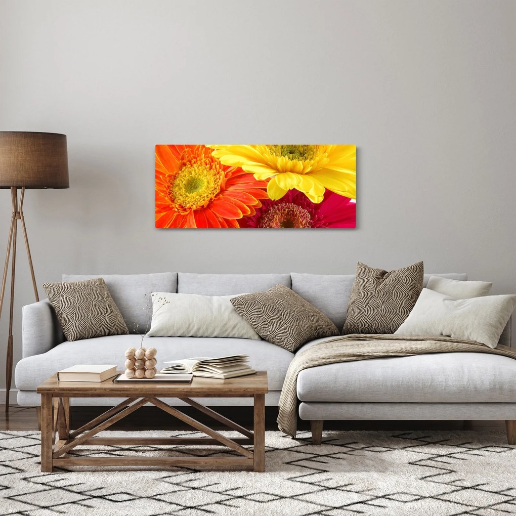 Obraz - Kvety Gerbery (120x50 cm)
