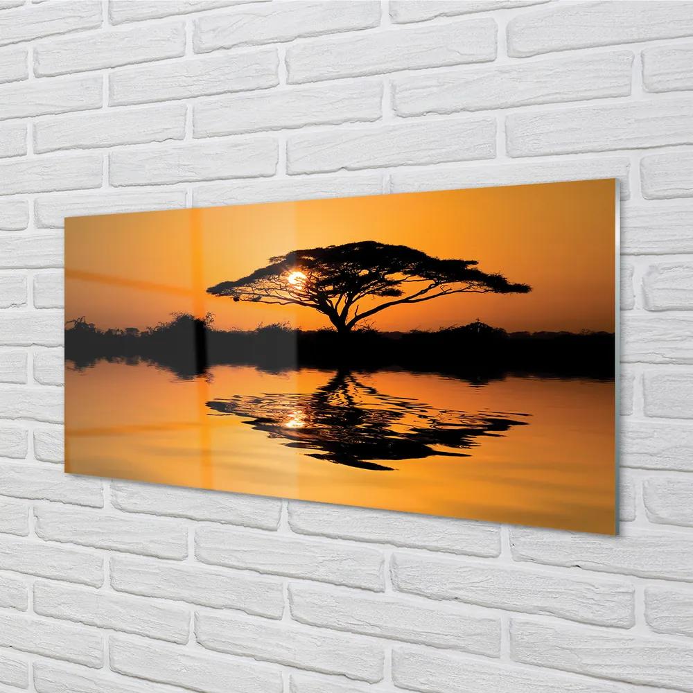 Nástenný panel  Sunset tree 100x50 cm