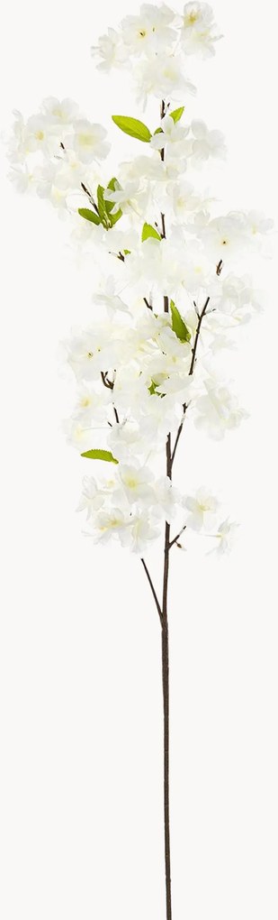 Rastlinné dekorácie Bloom, 3 ks