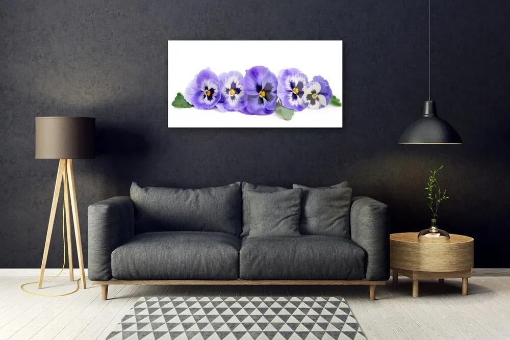 Skleneny obraz Plátky kvet sirôtky 100x50 cm