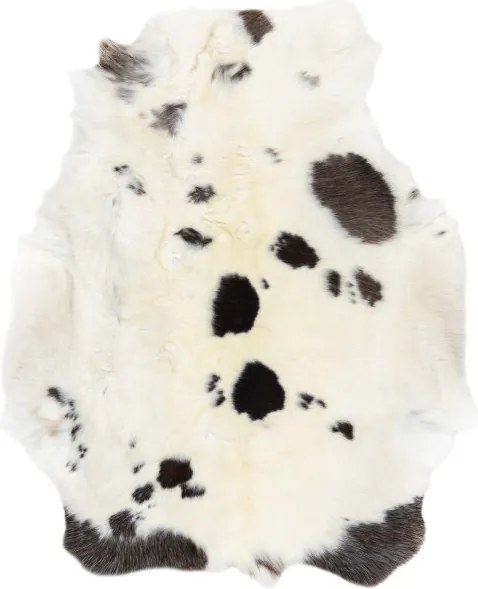 Koberec RENIFER POK007 krémový / sivý