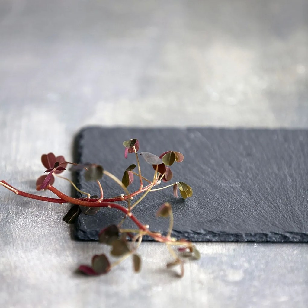 Nicolas Vahé Bridlicová servírovacia podložka Slate 20 x 12 cm