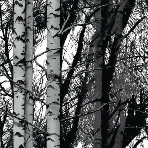 Samolepiace fólie brezy, metráž, šírka 45cm, návin 15m, d-c-fix 200-3197, samolepiace tapety