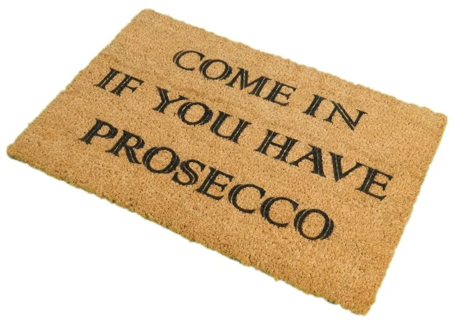 Rohožka z prírodného kokosového vlákna Artsy Doormats Prosecco, 40 x 60 cm