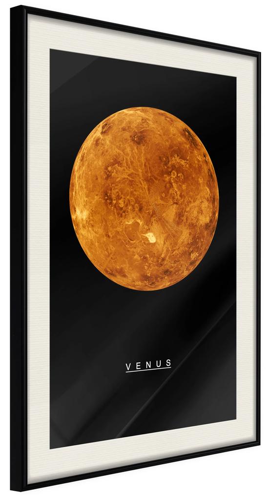 Artgeist Plagát - Venus [Poster] Veľkosť: 40x60, Verzia: Čierny rám s passe-partout