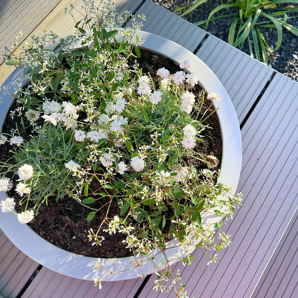 Okrasná miska PLANA, sklolaminát, Ø 44 cm x výška 11 cm, betón design