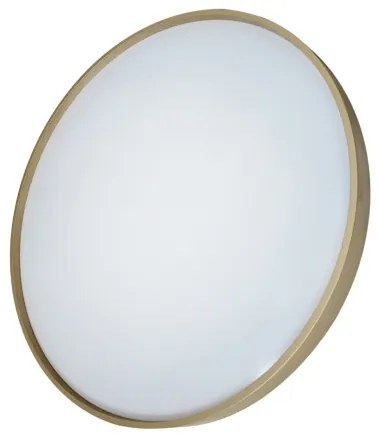 LED Stmievateľné stropné svietidlo DRINA LED/36W/230V 2700-6500K +dálkové ovládanie