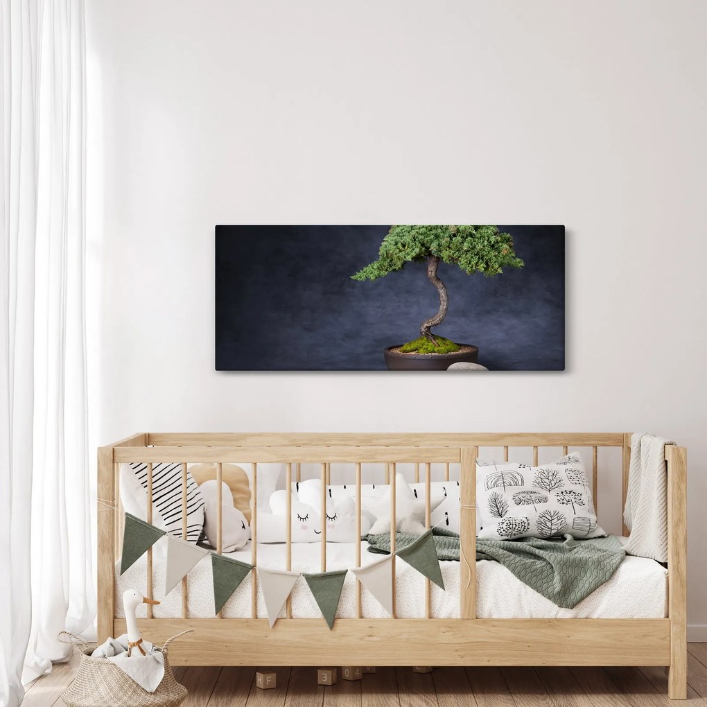 Obraz - Bonsai (120x50 cm)