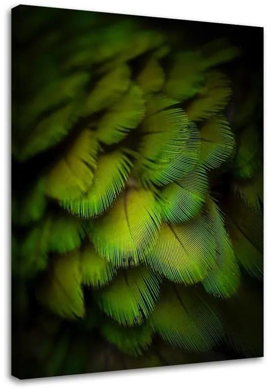 Gario Obraz na plátne Ozdobné zelené perie Rozmery: 40 x 60 cm