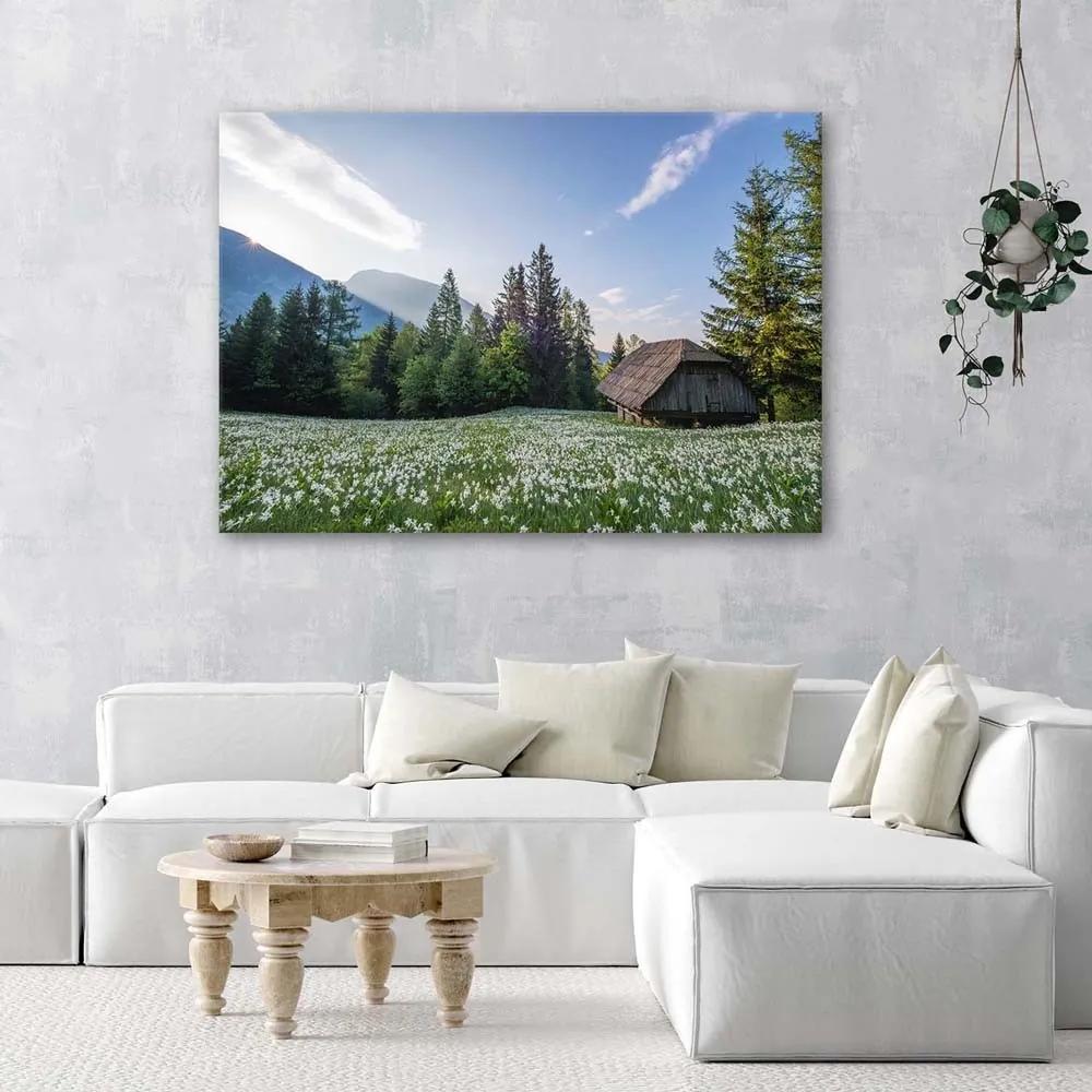 Obraz na plátně Krajina Horský dům - 90x60 cm