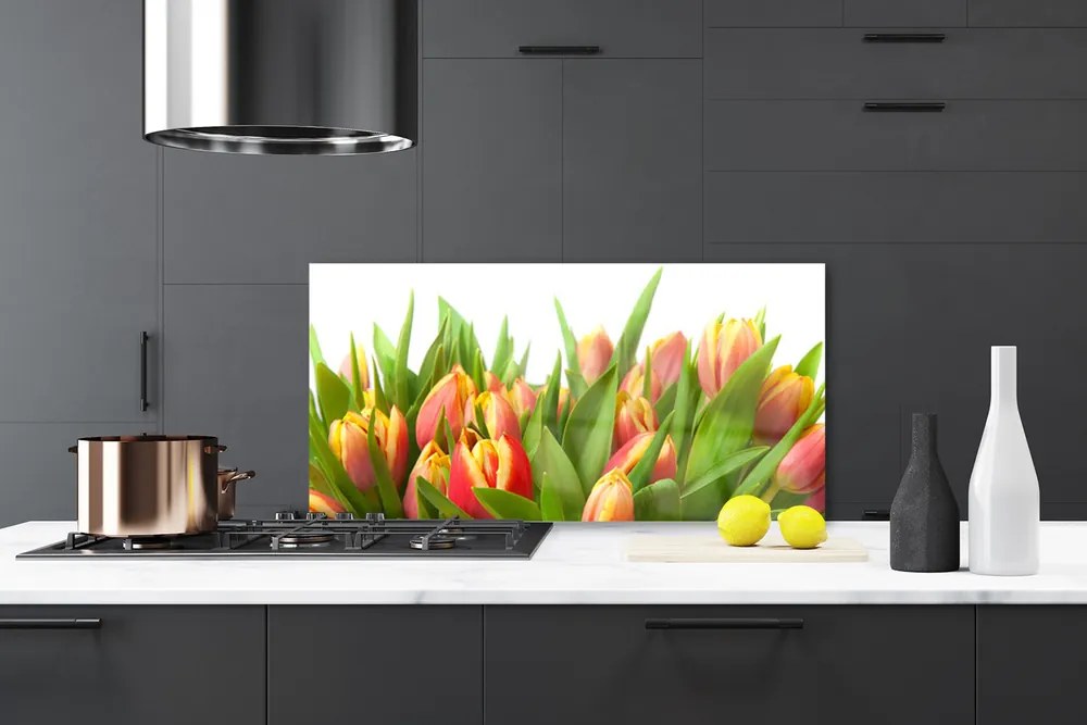 Sklenený obklad Do kuchyne Tulipány kvety rastlina 120x60 cm