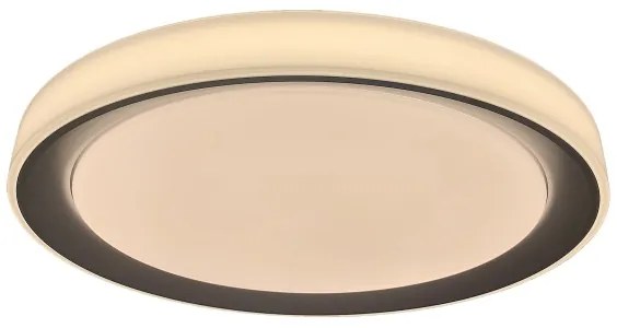 Rabalux 3510-LED RGB Stmievané stropné svietidlo EVEREST LED/40W/230V Wi-Fi + diaľkové ovládanie