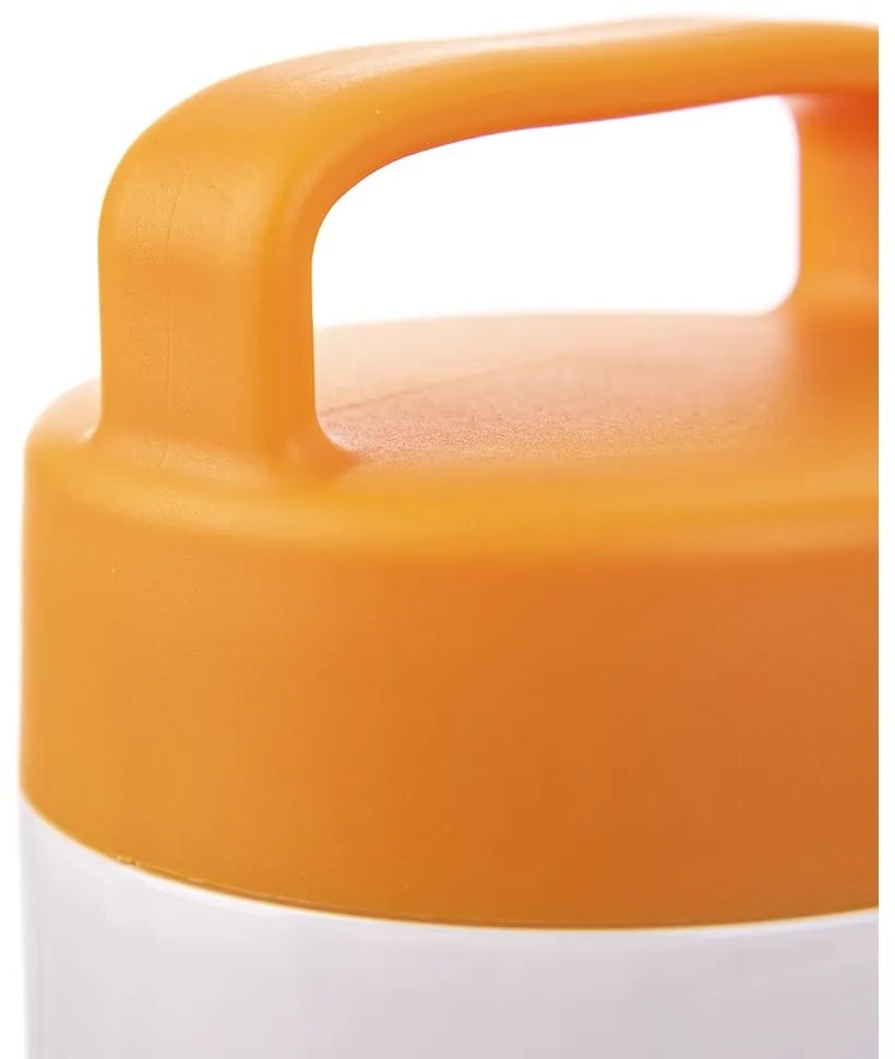 Oranžovo-biela detská termoska 480 ml Žirafa – Orion