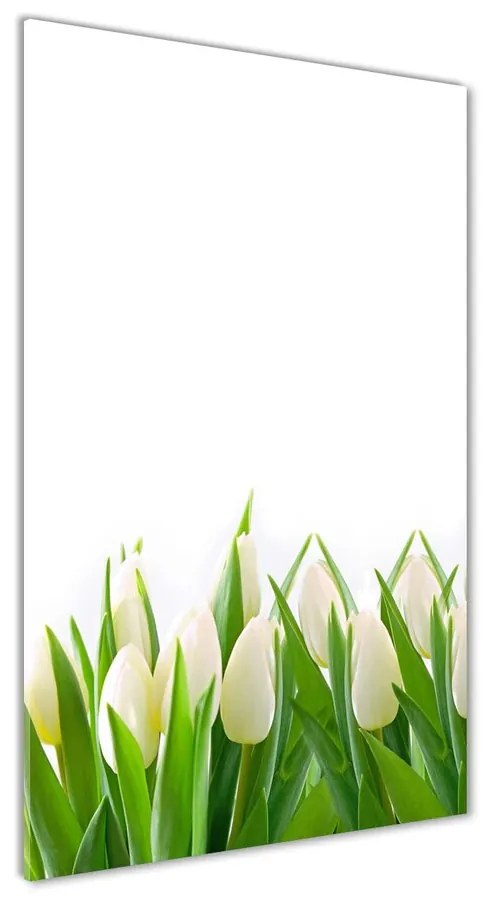 Foto obraz akryl do obývačky Biele tulipány pl-oa-70x140-f-30153186