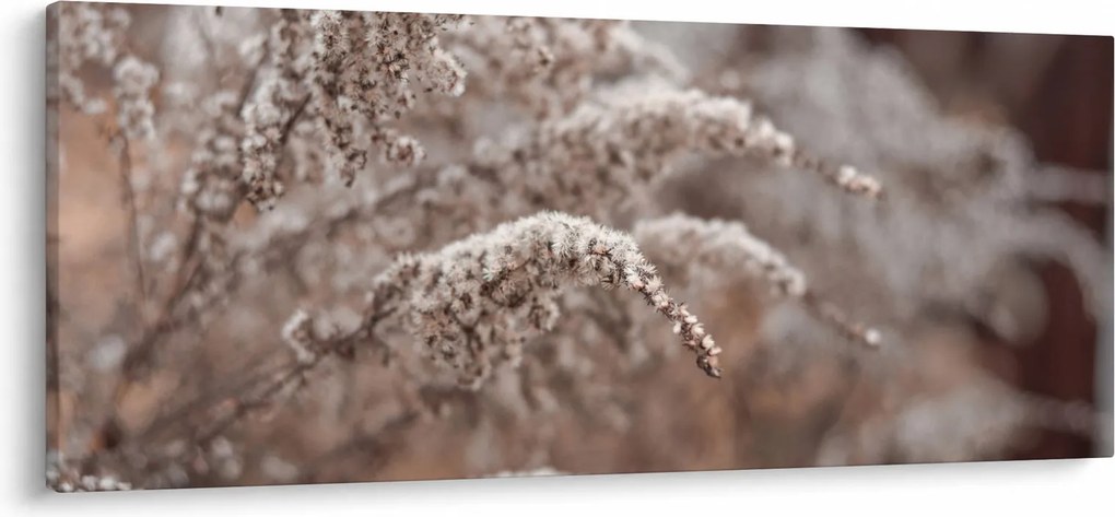 Obraz rastlín (120x50 cm)