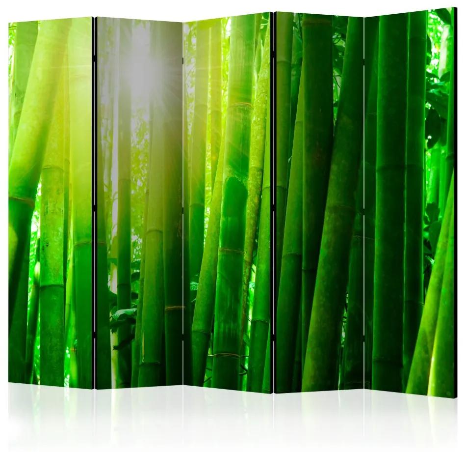 Paraván - Slnko a bambus II 225x172 225x172