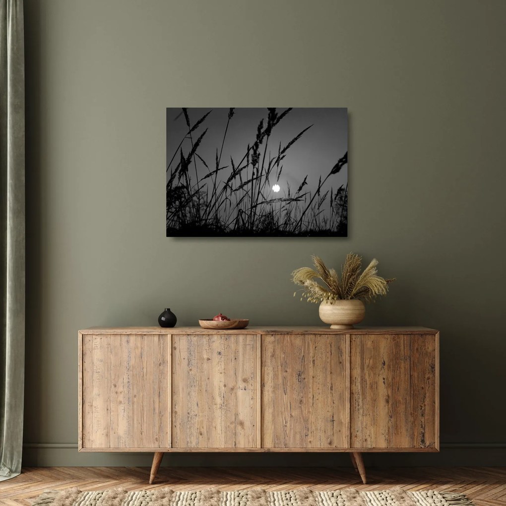 Sklenený obraz - Lúka so západom slnka (70x50 cm)