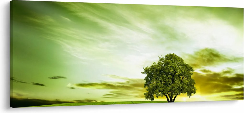 Obraz - Strom života (120x50 cm)