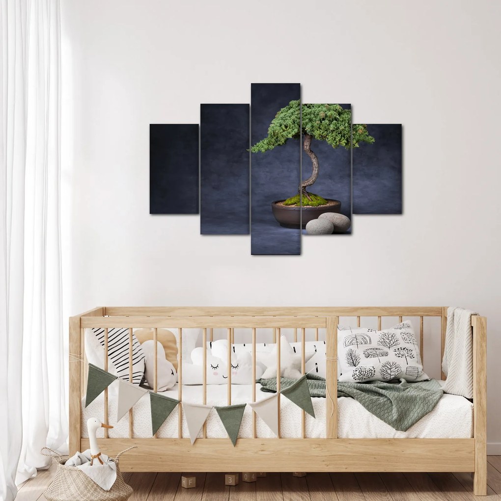 Obraz - Bonsai (150x105 cm)