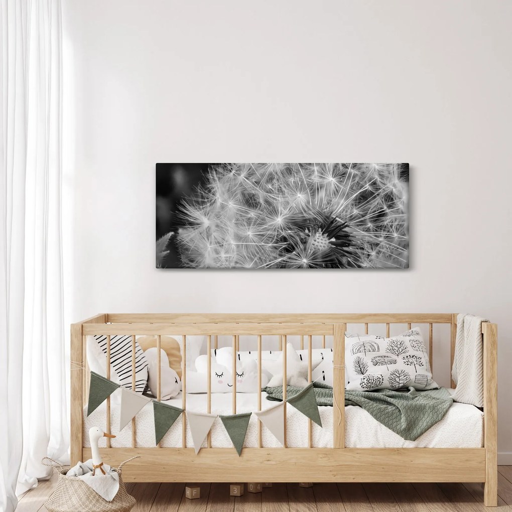 Obraz - páperie púpav (120x50 cm)