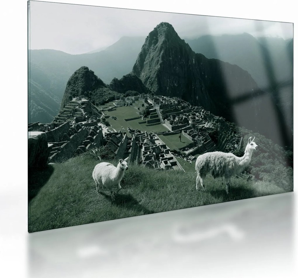 Sklenený obraz - Lamy na Machu Picchu v Peru (70x50 cm)