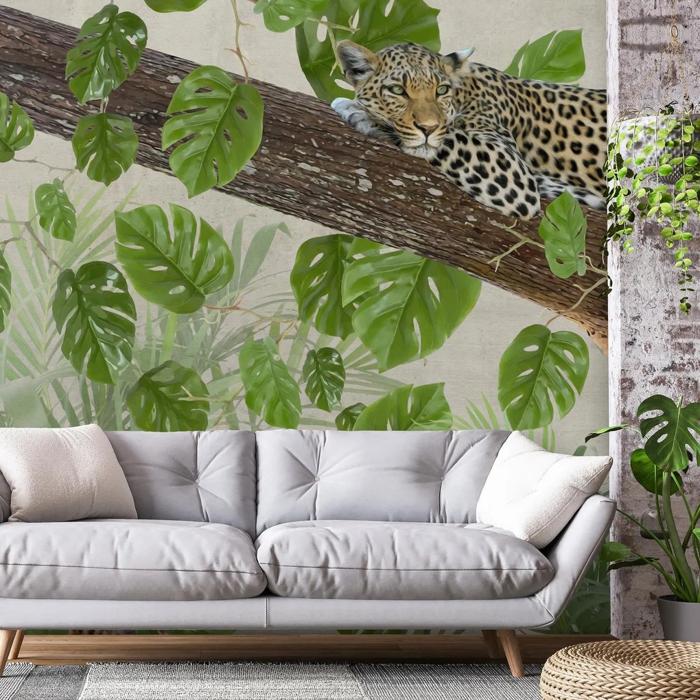 Fototapeta - Odpočívajúci leopardy (147x102 cm)
