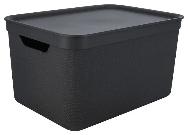 Plastový úložný box s vekom Deco - Rotho
