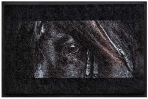 Premium rohožka- zvieratá - čierny kôň (Vyberte veľkosť: 60*40 cm)