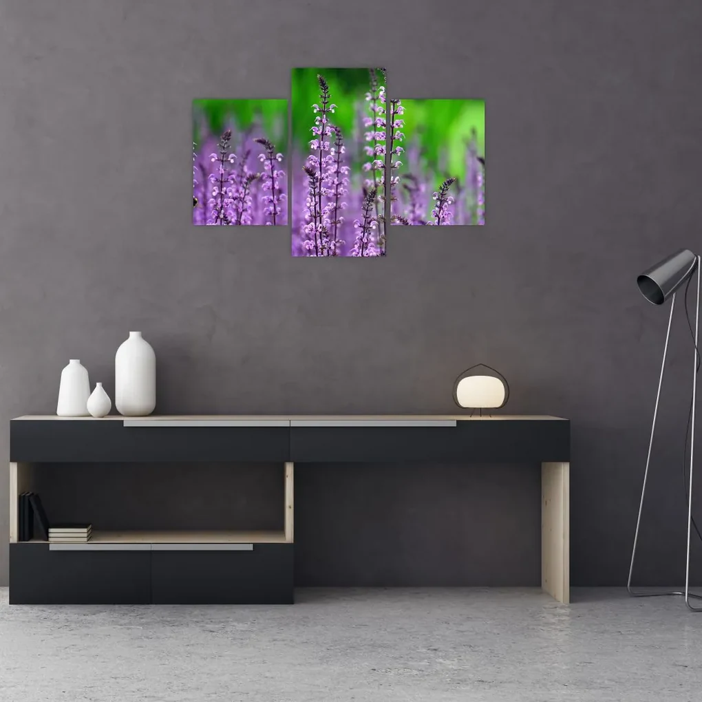 Obraz fialových lúčnych kvetov (90x60 cm)