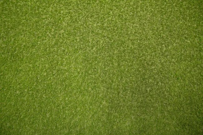 Umelá tráva Star zelená