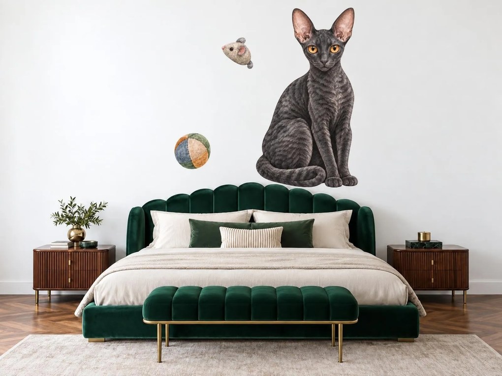 Mačka cornish rex tmavé mačacie nálepky na stenu pre milovníkov mačiek arch 30 x 46 cm