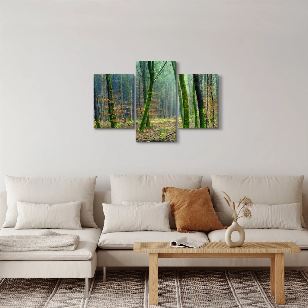 Obraz lesa (90x60 cm)