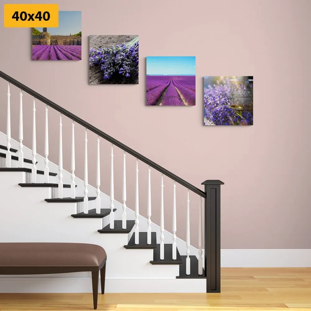 Set obrazov krásna levanduľa Varianta: 4x 40x40