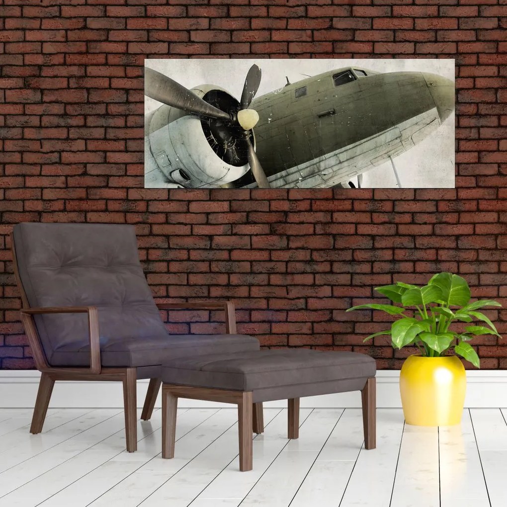 Obraz - Staré vrtuľové lietadlo (120x50 cm)