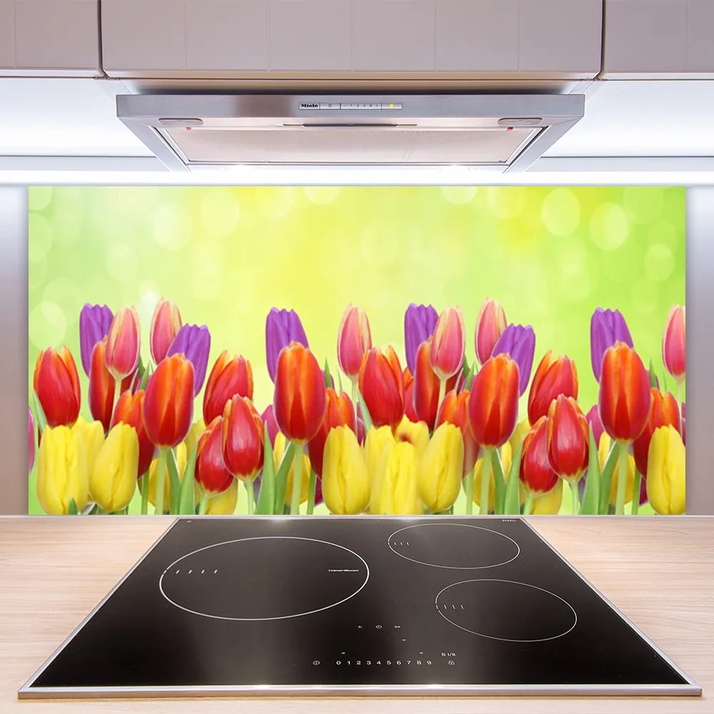 Sklenený obklad Do kuchyne Tulipány kvety rastlina 100x50 cm