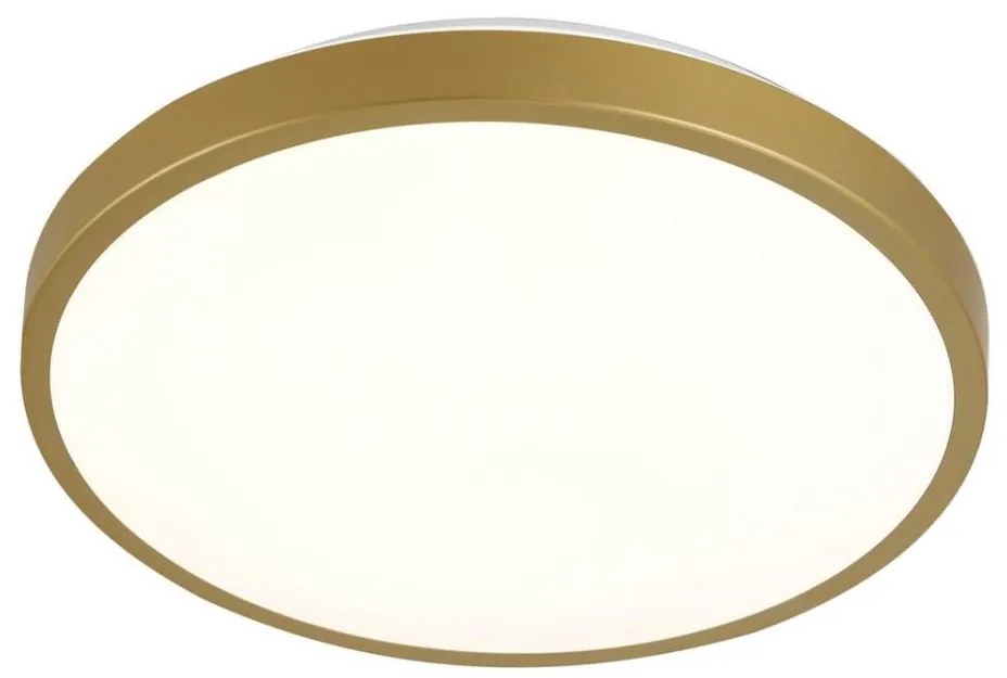 LED Stropné svietidlo KERN LED/24W/230V pr. 39 cm