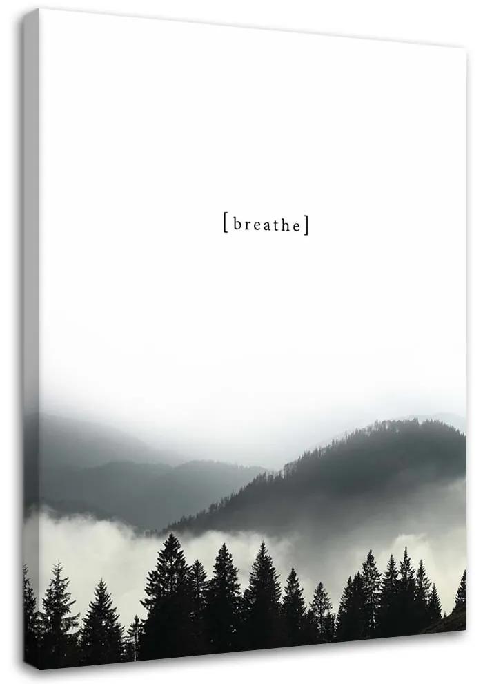 Gario Obraz na plátne Dýchať v horách Rozmery: 40 x 60 cm