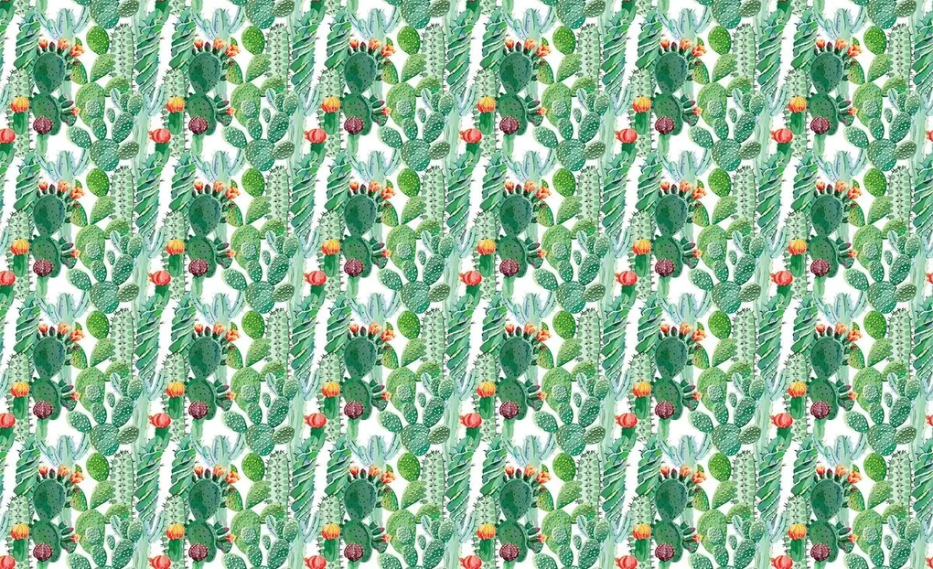 Fototapeta - Kaktus (152,5x104 cm)
