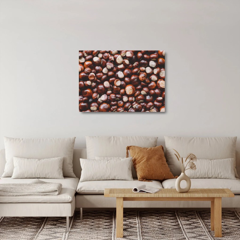 Sklenený obraz - Zrelé gaštany (70x50 cm)