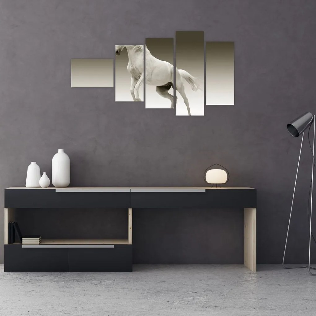 Obrazy bieleho koňa