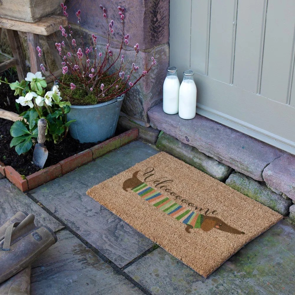 Rohožka z kokosového vlákna 40x60 cm Welcome Sausage Dog – Artsy Doormats