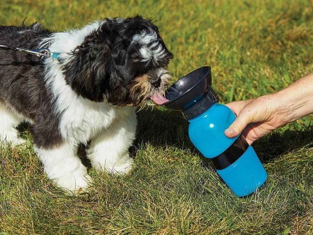 Cestovná / turistická fľaša na vodu pre psa | 0.5L