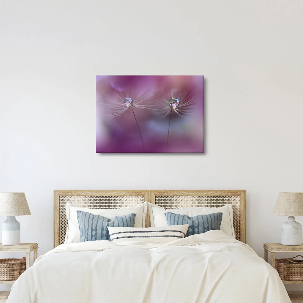 Obraz kvapôčok na páperí (70x50 cm)