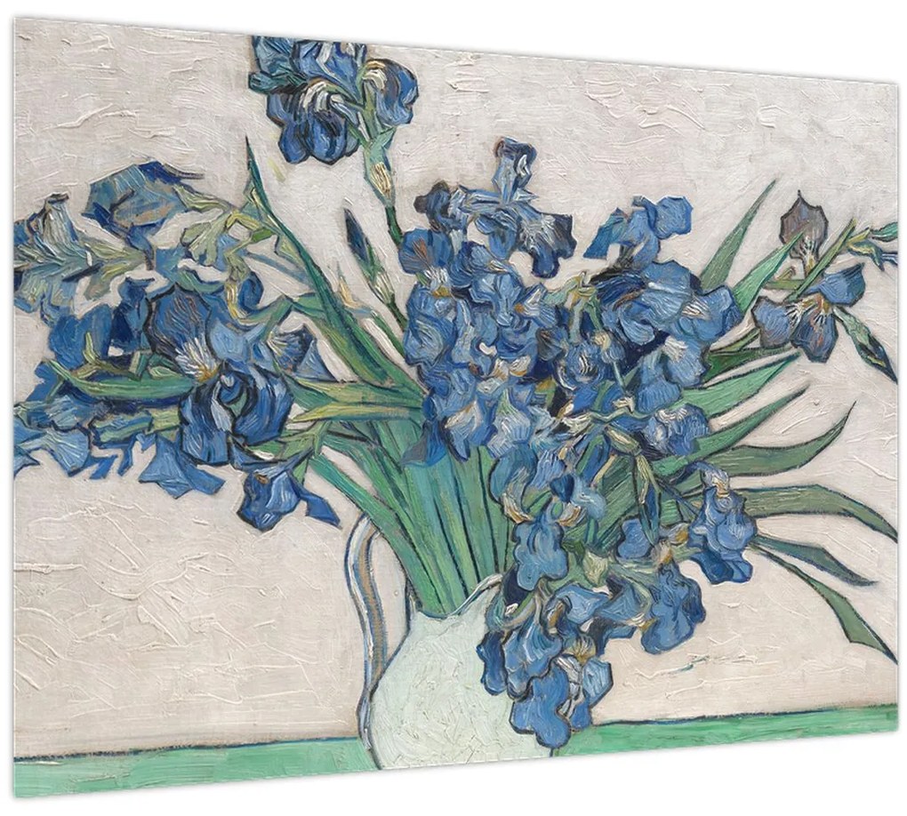 Obraz - Vincent van Gogh, Irises, reprodukcia (70x50 cm)