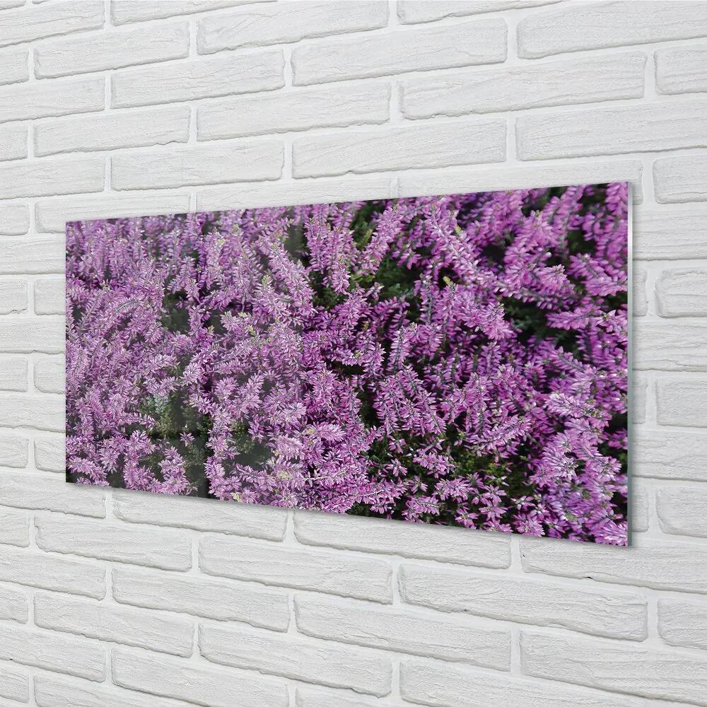 Sklenený obraz fialové kvety 120x60 cm