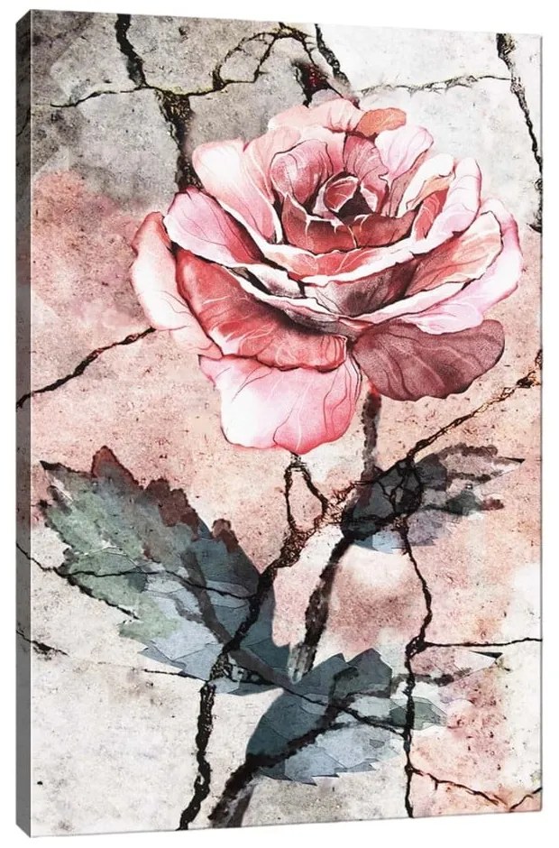 Nástenný obraz na plátne Tablo Center Rose, 40 × 60 cm