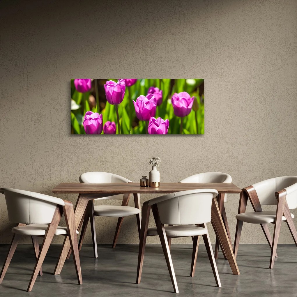 Obraz tulipánov na lúke (120x50 cm)