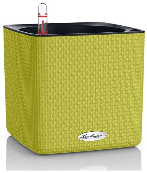 Lechuza Cube Color (trend) all incusive set lime 17x17x16 cm