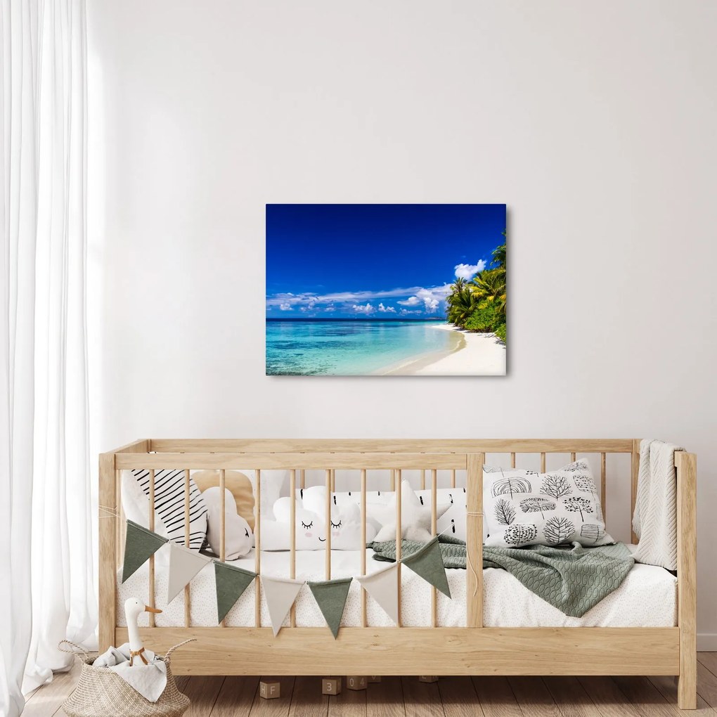 Obraz tropickej pláže (70x50 cm)