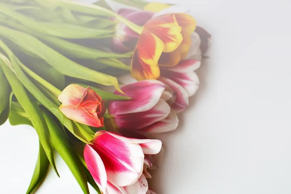 Samolepiaca fototapeta kytica tulipánov - 375x250